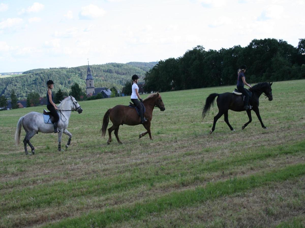 Pferd - Spass - Entspannung Staitz Bagian luar foto
