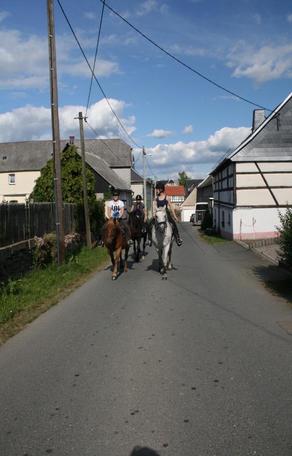Pferd - Spass - Entspannung Staitz Bagian luar foto