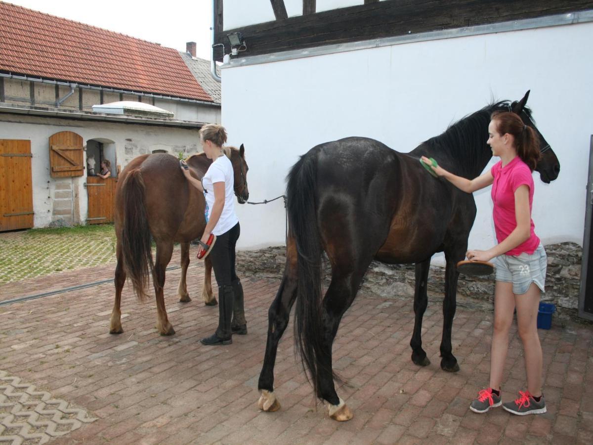 Pferd - Spass - Entspannung Staitz Bagian luar foto
