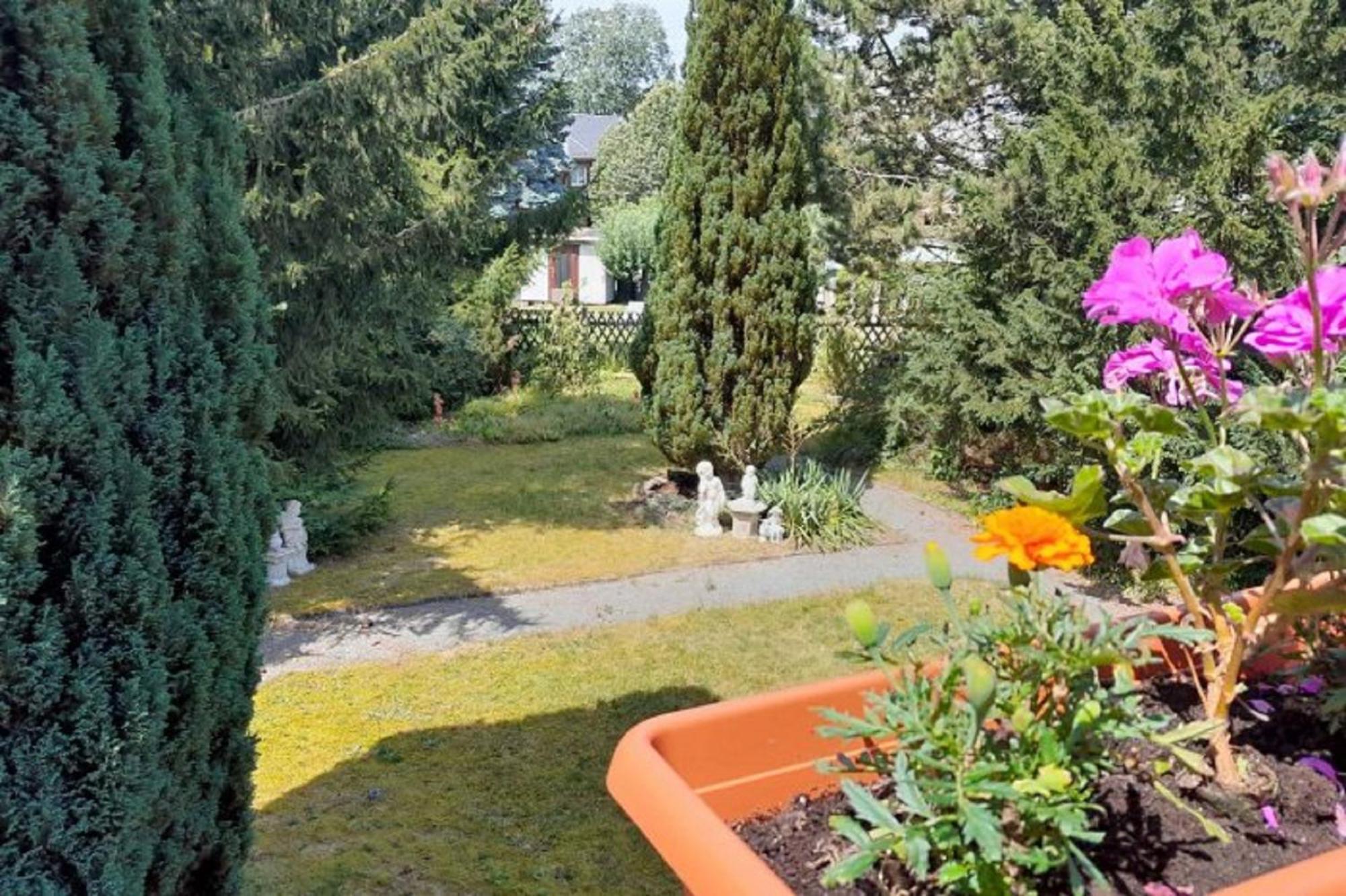 Pferd - Spass - Entspannung Staitz Bagian luar foto